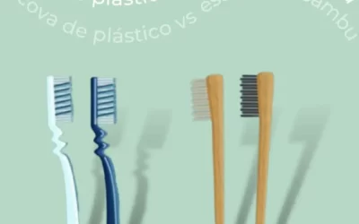 Escova de plástico vs escova de bambu