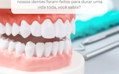 Nossos dentes foram feitos para durar uma vida toda